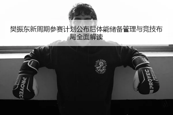 樊振东新周期参赛计划公布后体能储备管理与竞技布局全面解读